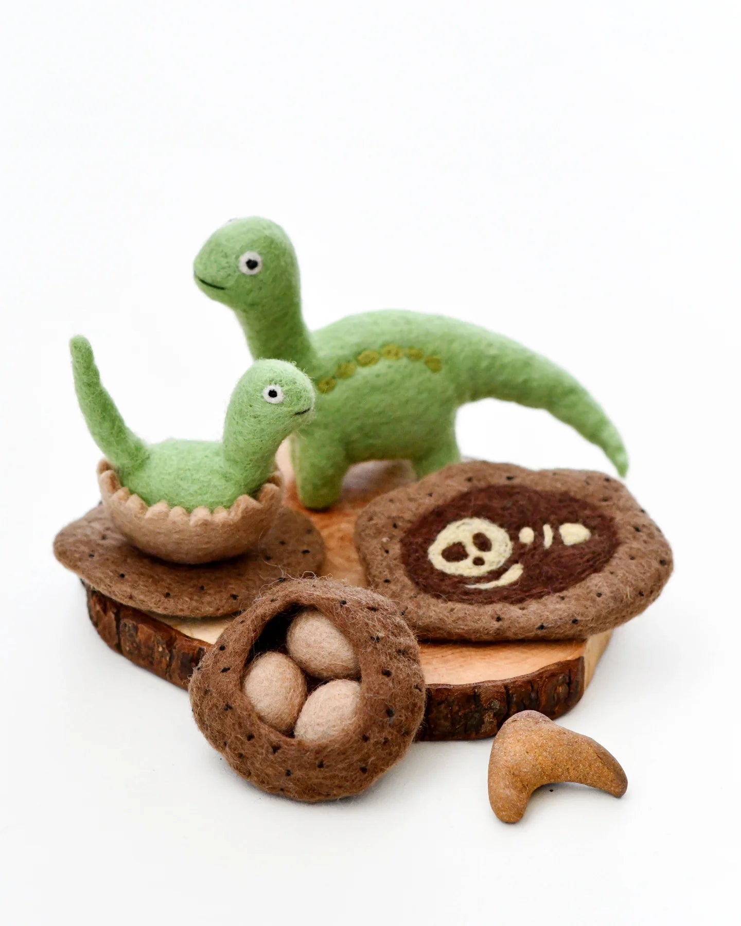 dinosaur brontosaurus felt life cycle