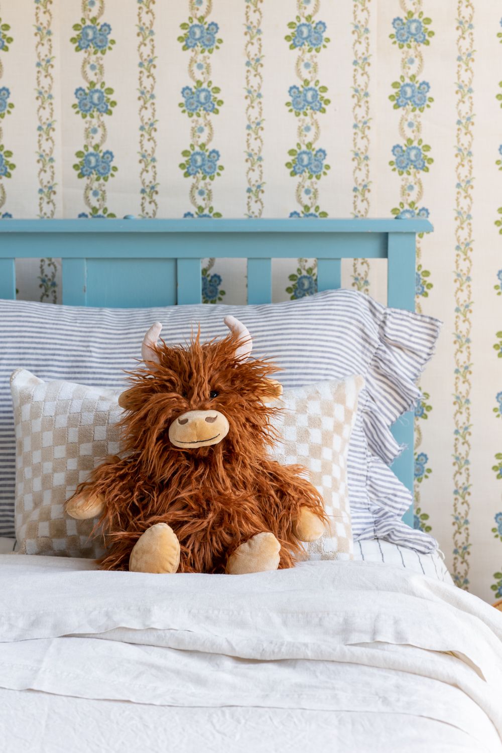 henry the highland cow