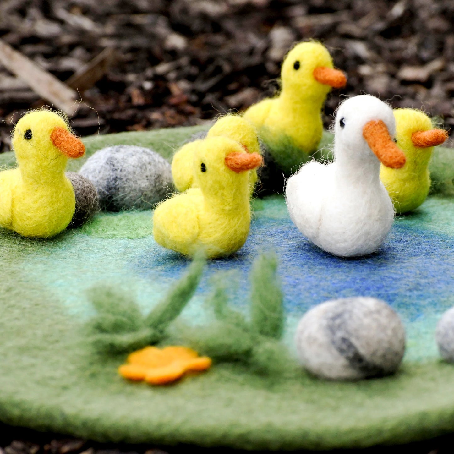 duck pond playscape