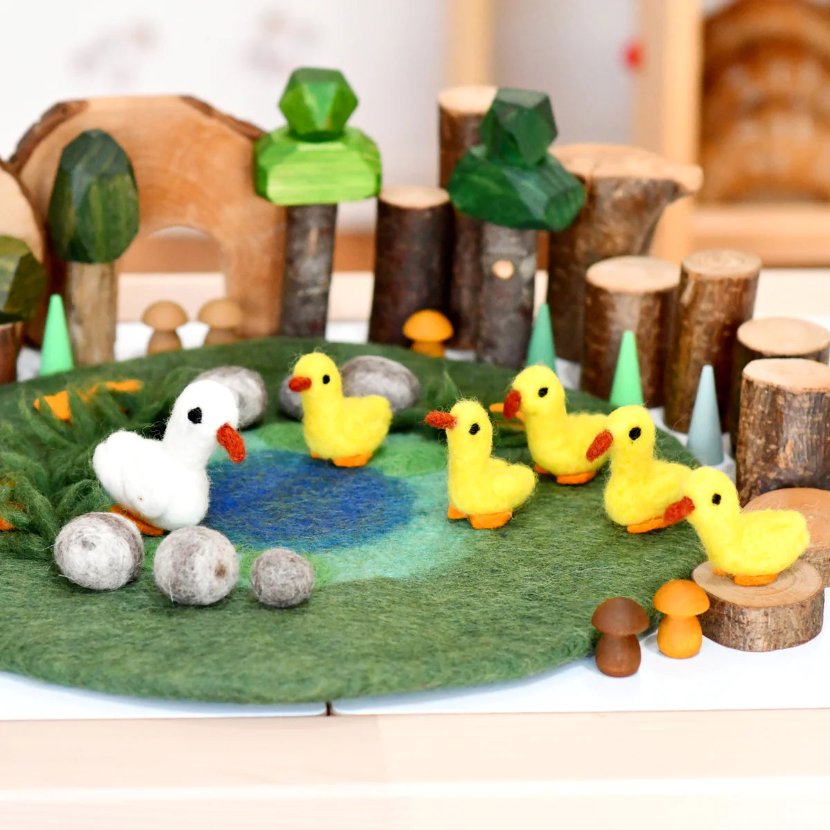 duck pond playscape